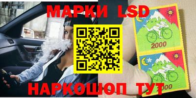 амф Камышлов