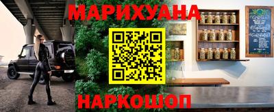 амф Камышлов