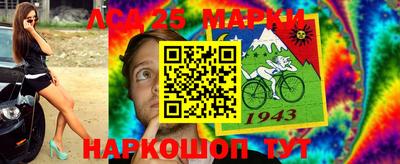 амф Камышлов