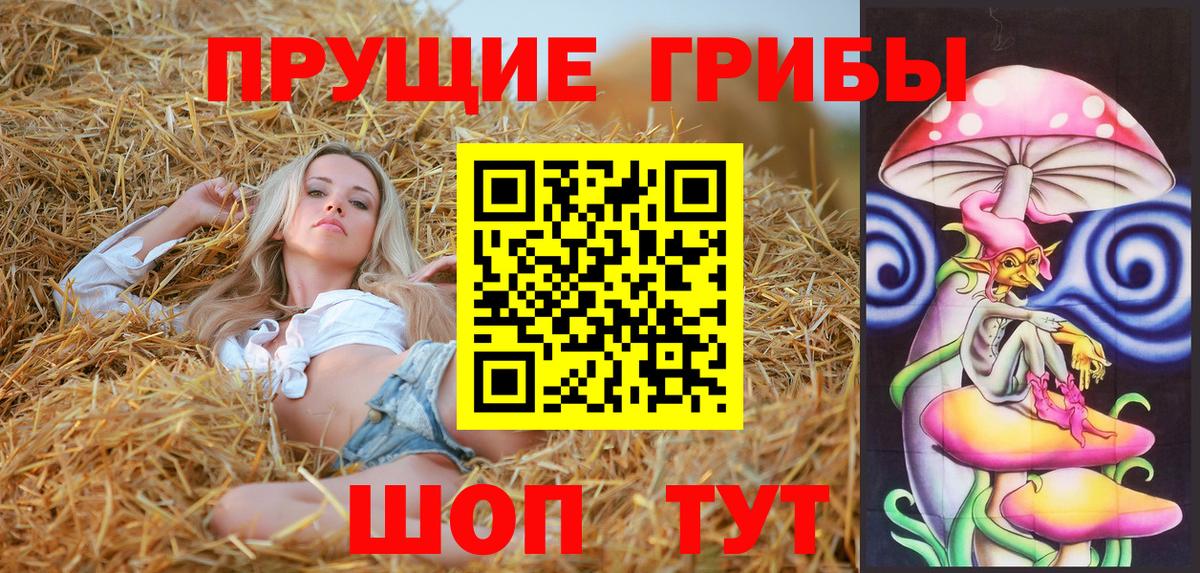 наркота  Вход с VPN  Феодосия  Галлюциногенные грибы мухоморы  Псилоцибиновые грибы Psilocybine cubensis 